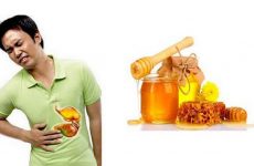 đau dạ dày có nên uống mật ong không