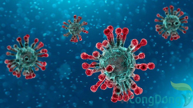 virus cúm a h1n1